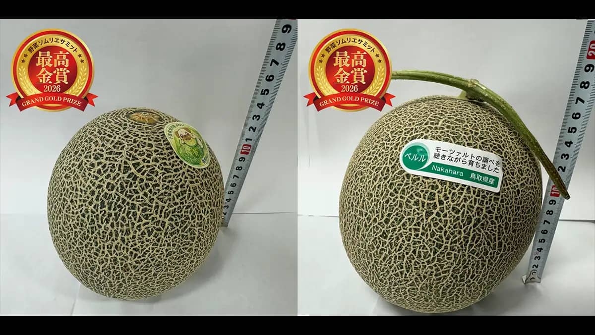 「野菜ソムリエサミット」6月度　青果部門最高金賞はメロン2品　日本野菜ソムリエ協会