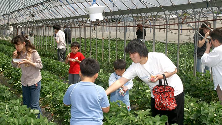 【特集：今こそ我らＪＡの出番】10年後の将来像見据え　青山吉和ＪＡ静岡中央会会長に聞く