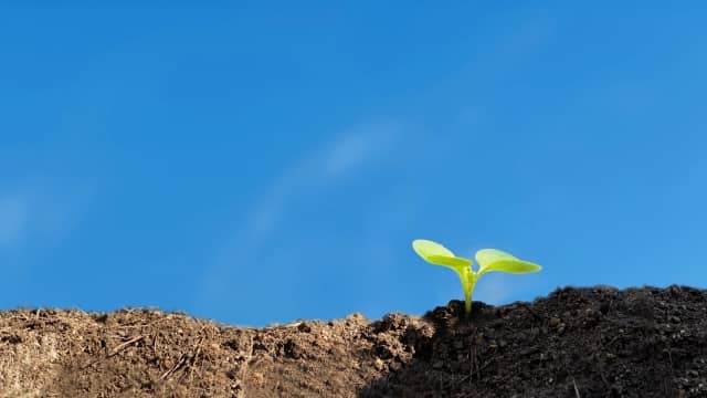 2021年に食品・農業分野で注目すべき技術トップ5発表　米ラックスリサーチ社