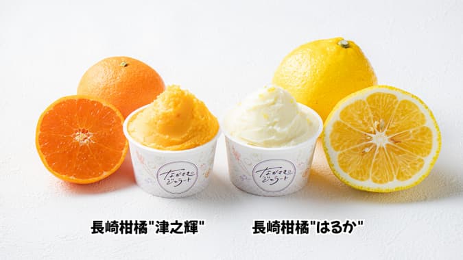 長崎県産柑橘「はるか」「津之輝」使用ジェラート新発売　食品ロス削減に貢献　ＪＡタウン