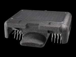 包材の脱プラ推進　サトウキビからつくるバイオマスフィルムへ切り替え開始　生活クラブ