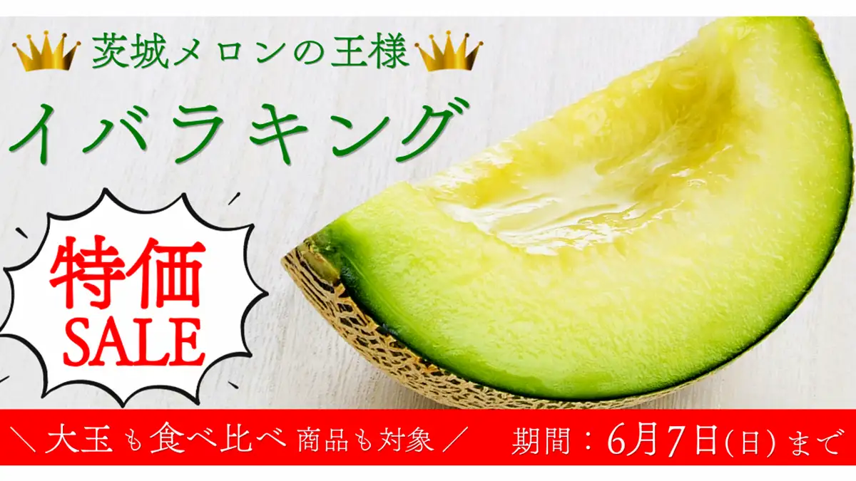 茨城が誇るメロンの王様「イバラキング」特価セール実施中　ＪＡタウン