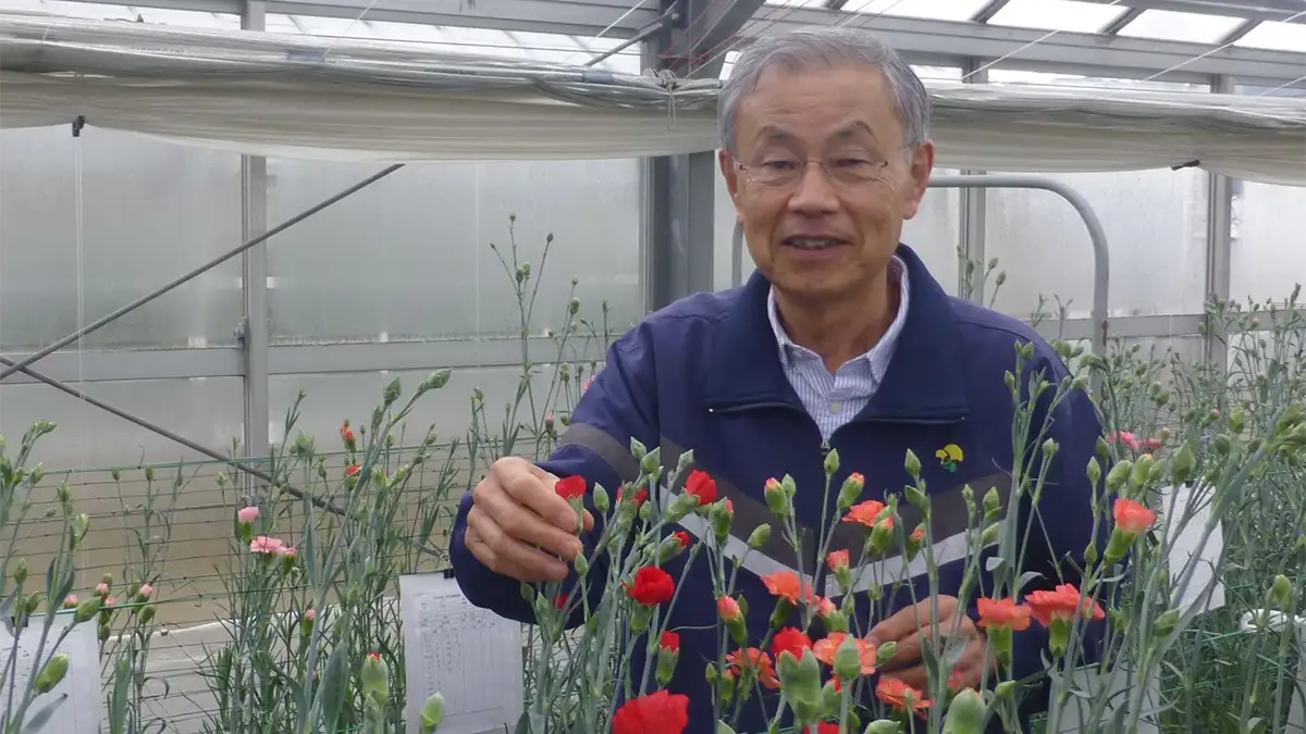 「花屋あっての花農家」後継者不足は花産業全体の危機【花づくりの現場から　宇田明】第86回