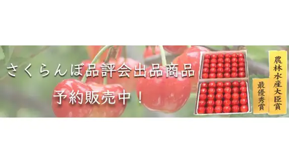 山形県さくらんぼ品評会受賞「佐藤錦」と「紅秀峰」を限定販売　ＪＡタウン