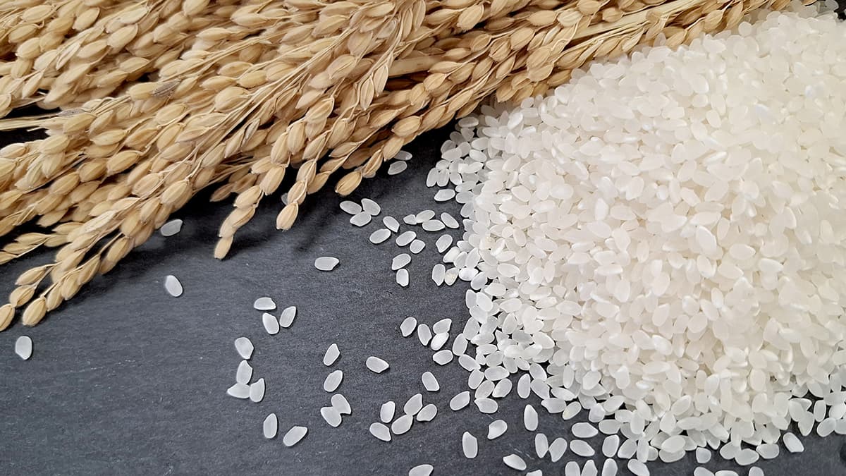 米消費、25年度は通年で前年比マイナス　「高騰による買い控え」に変化の兆しも