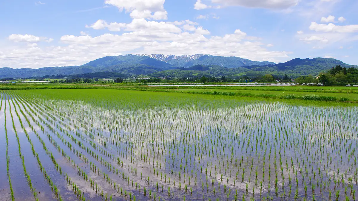 バイエルと販売契約締結で合意　一部製品を販売開始　クミアイ化学