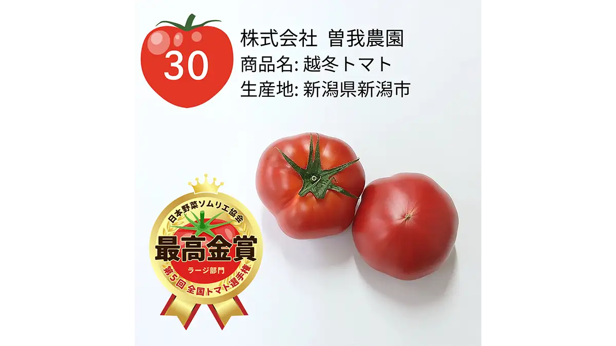 「第5回全国トマト（ラージ）選手権」最高金賞は新潟県「越冬トマト」