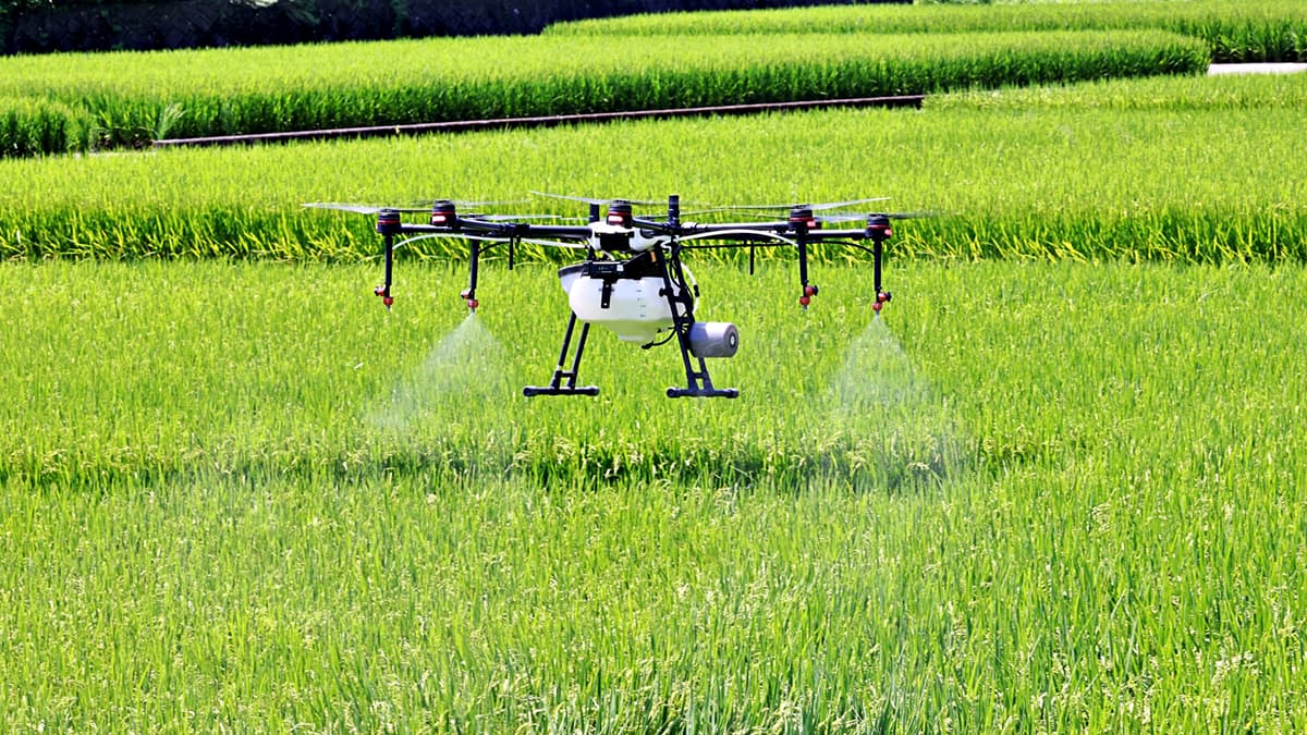 農業支援有償サービス　利用者初めて3割超す