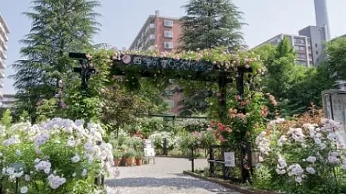 四季の香ローズガーデン　開園10周年記念フェスティバル開催　練馬区