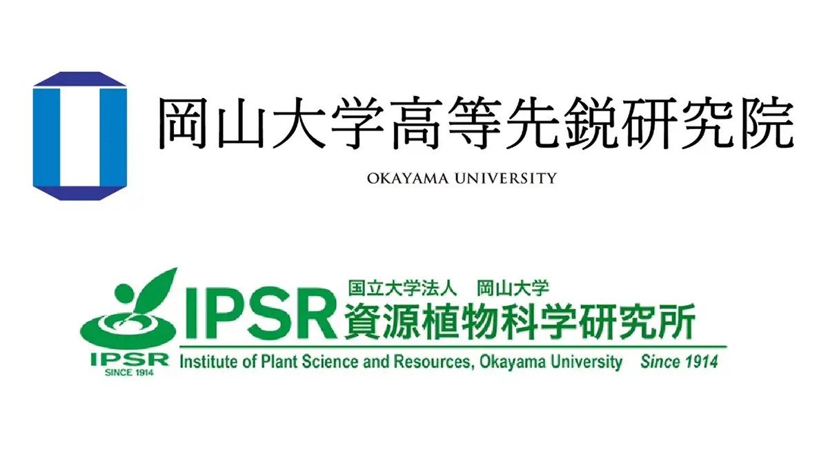 イネ種子の発育と食味に影響するマグネシウム輸送体を発見　岡山大学