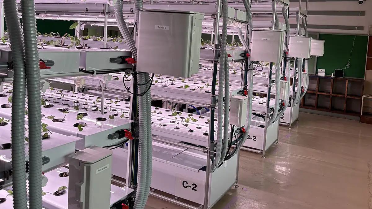 岩手県紫波町の廃校で「AI活用型 次世代わさび農場」始動　NEXTAGE