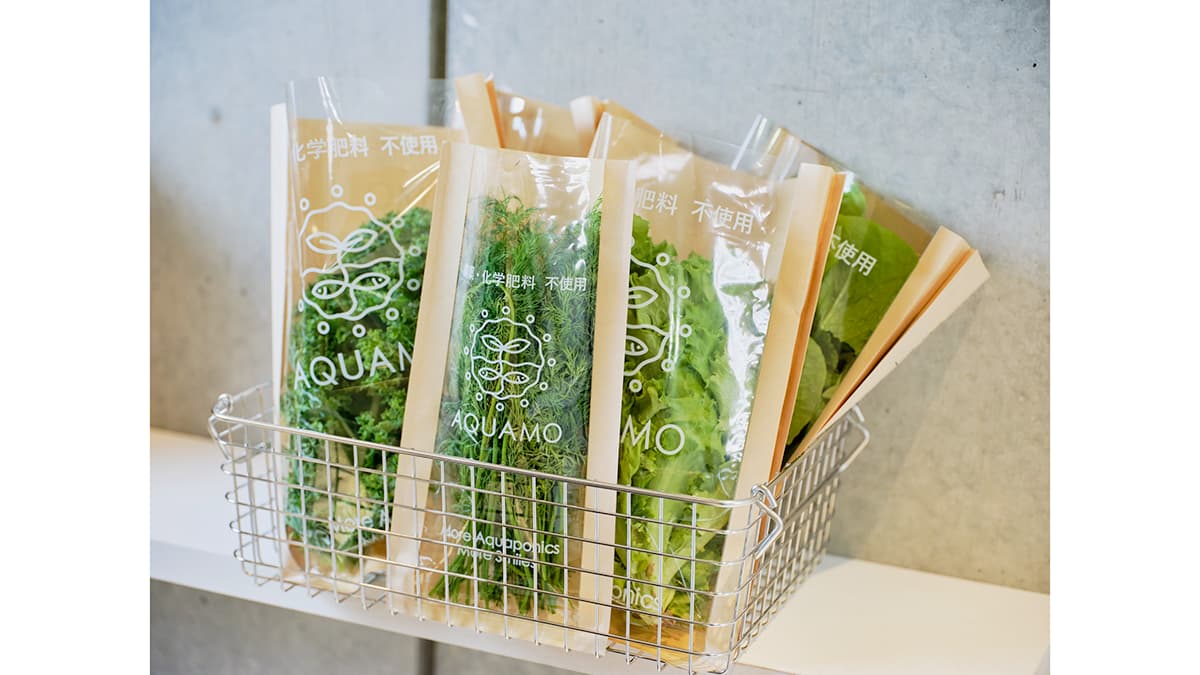 循環型農業「アクアポニックス」産野菜を虎ノ門で販売開始　アクポニ