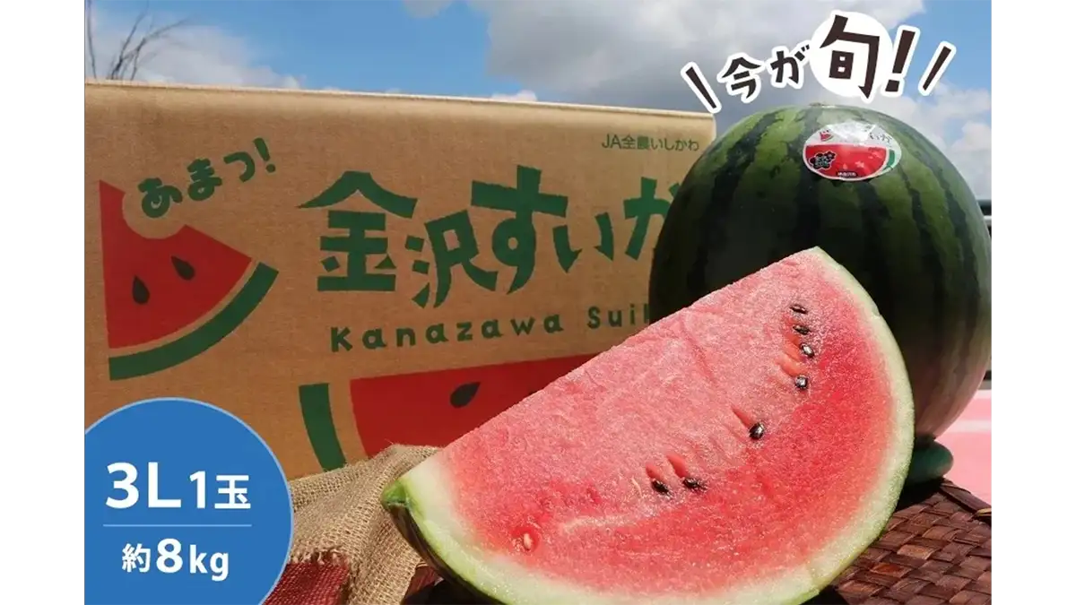 砂丘地が育てる、甘さとシャリ感　石川県産「金沢すいか」販売中　ＪＡタウン