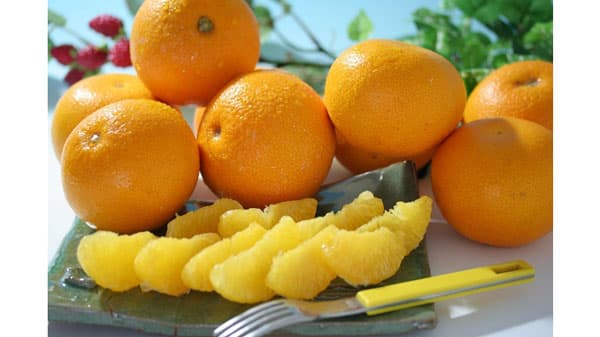 「ココ・カラ。和歌山マルシェ」開業1周年で500円クーポンプレゼント　ＪＡタウン