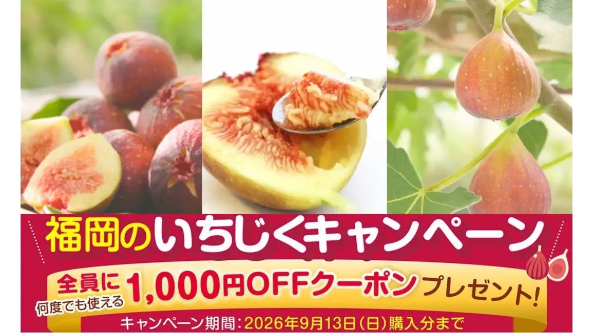 なめらか&プチプチ食感　お得な「福岡いちじくキャンペーン」実施中　ＪＡタウン