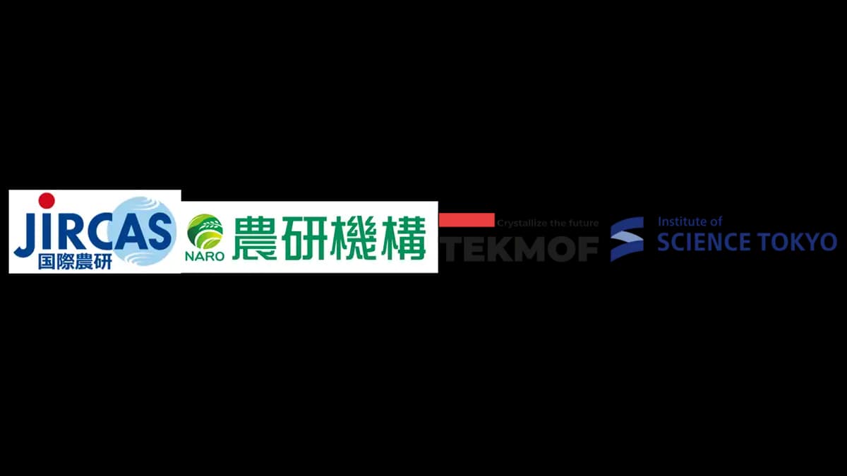 雑穀シコクビエが分泌する硝化抑制物質を初めて同定　国際農研