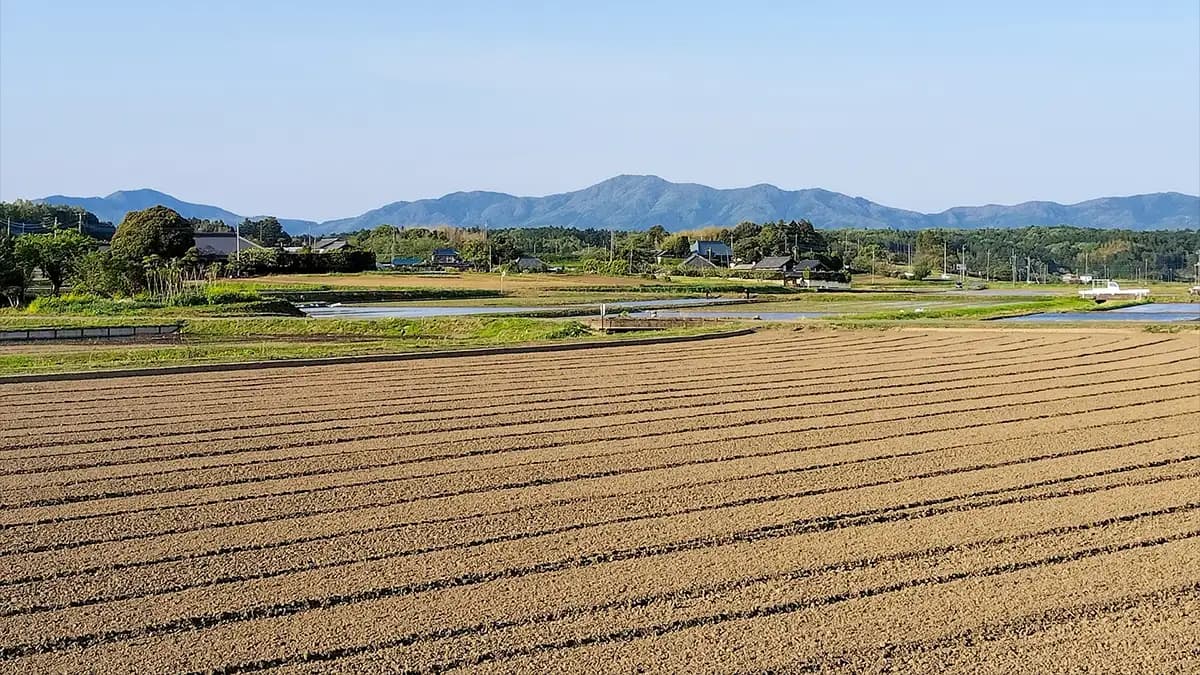 担い手への農地集積率　62.1％　0.6ポイント増