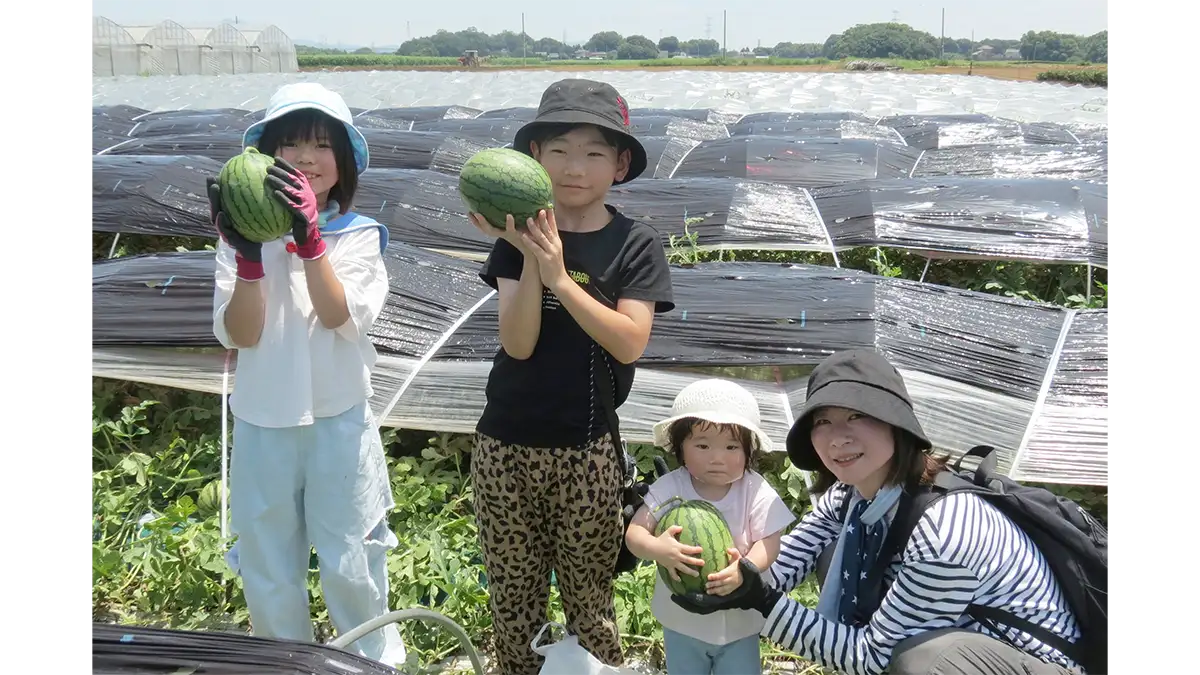 生産者と収穫体験「メロン・すいかまつり」八千代町で開催　パルシステム茨城 栃木