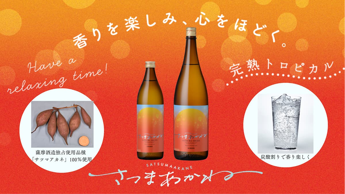 独占品種「サツマアカネ」使用　本格芋焼酎「さつまあかね」発売　薩摩酒造