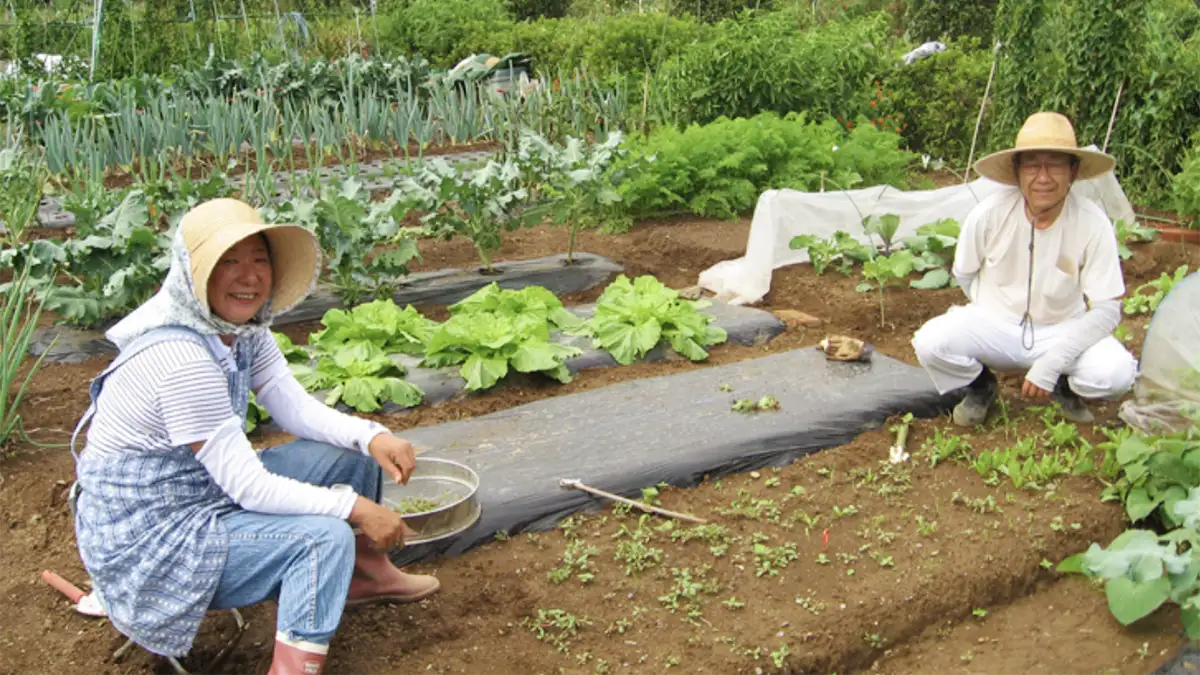 山梨県北杜市「土に触れ、食の大切さを学ぶ」田植え体験イベント参加者募集中