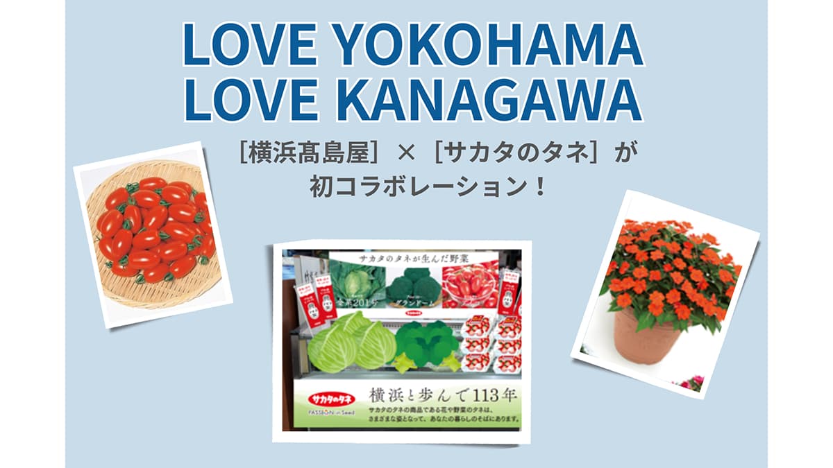 横浜髙島屋でサカタのタネ品種の野菜を限定販売「一粒万倍日」タネまきイベントも