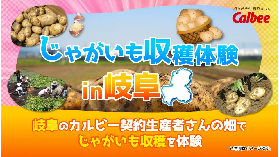 岐阜県の契約生産者の畑でファンミ－ティング「Fan With! Project」開催　カルビー