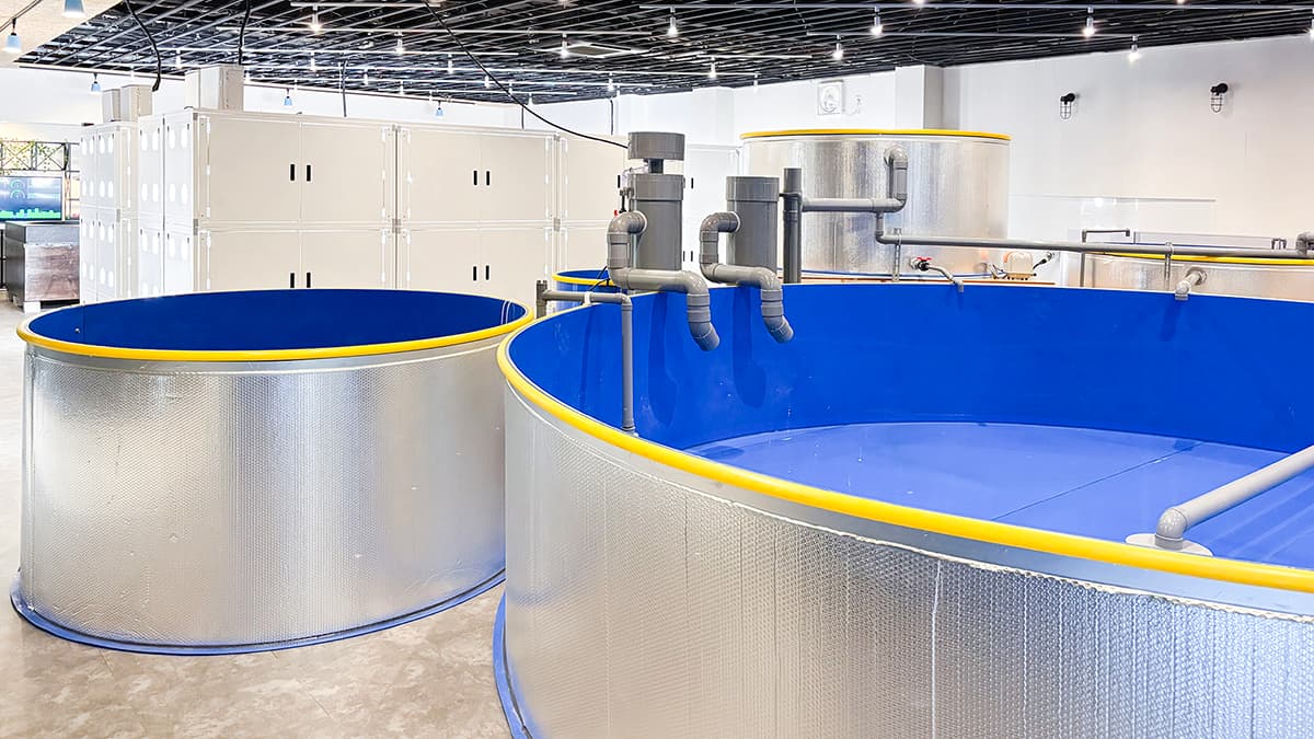 水耕栽培×陸上養殖「アクアポニックス」を見学できる施設を開設　FIVOR