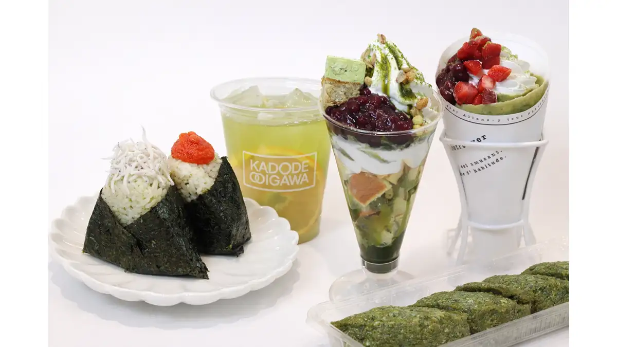 新茶の季節　静岡・大井川流域で「茶フェス」開催　KADODE OOIGAWA