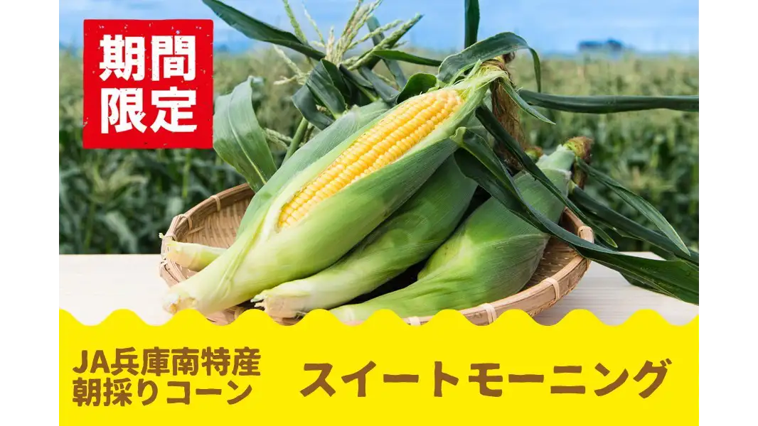 毎年大好評の兵庫県産「スイートモーニング」予約開始　ＪＡタウン
