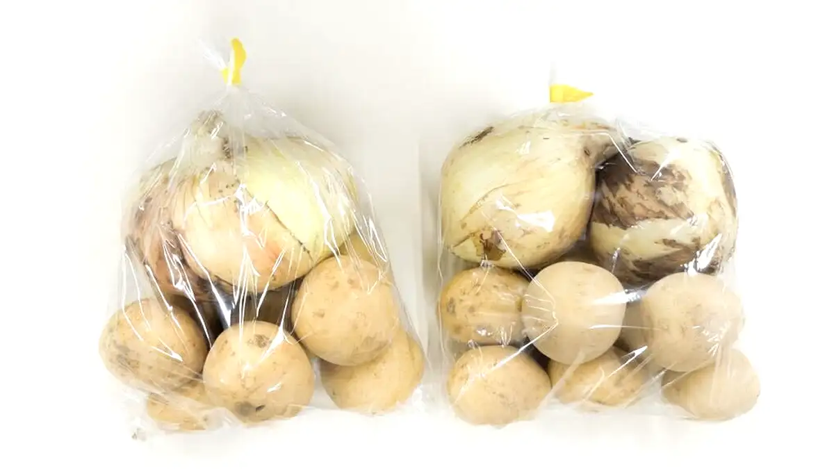 青果の包装資材を見直し・簡易化や詰め合わせ商品を提案開始　Oisix