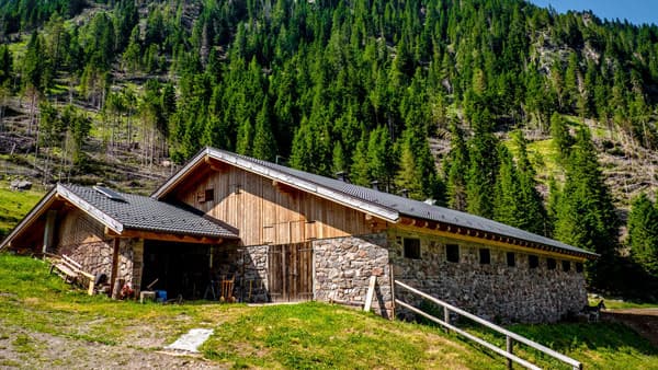 ヴァルスガーナ観光協会による観光と牧畜の共存共栄のための『乳牛の里親になろう』プロジェクト　ローマ在住ジャーナリスト・茜ヶ久保徹郎【イタリア通信】