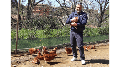 「卵を産まなくなったニワトリの里親になりませんか」　ローマ在住ジャーナリスト・茜ヶ久保徹郎【イタリア通信】
