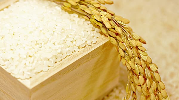 加工原料米の適正価格を示すことは出来るのか？【熊野孝文・米マーケット情報】