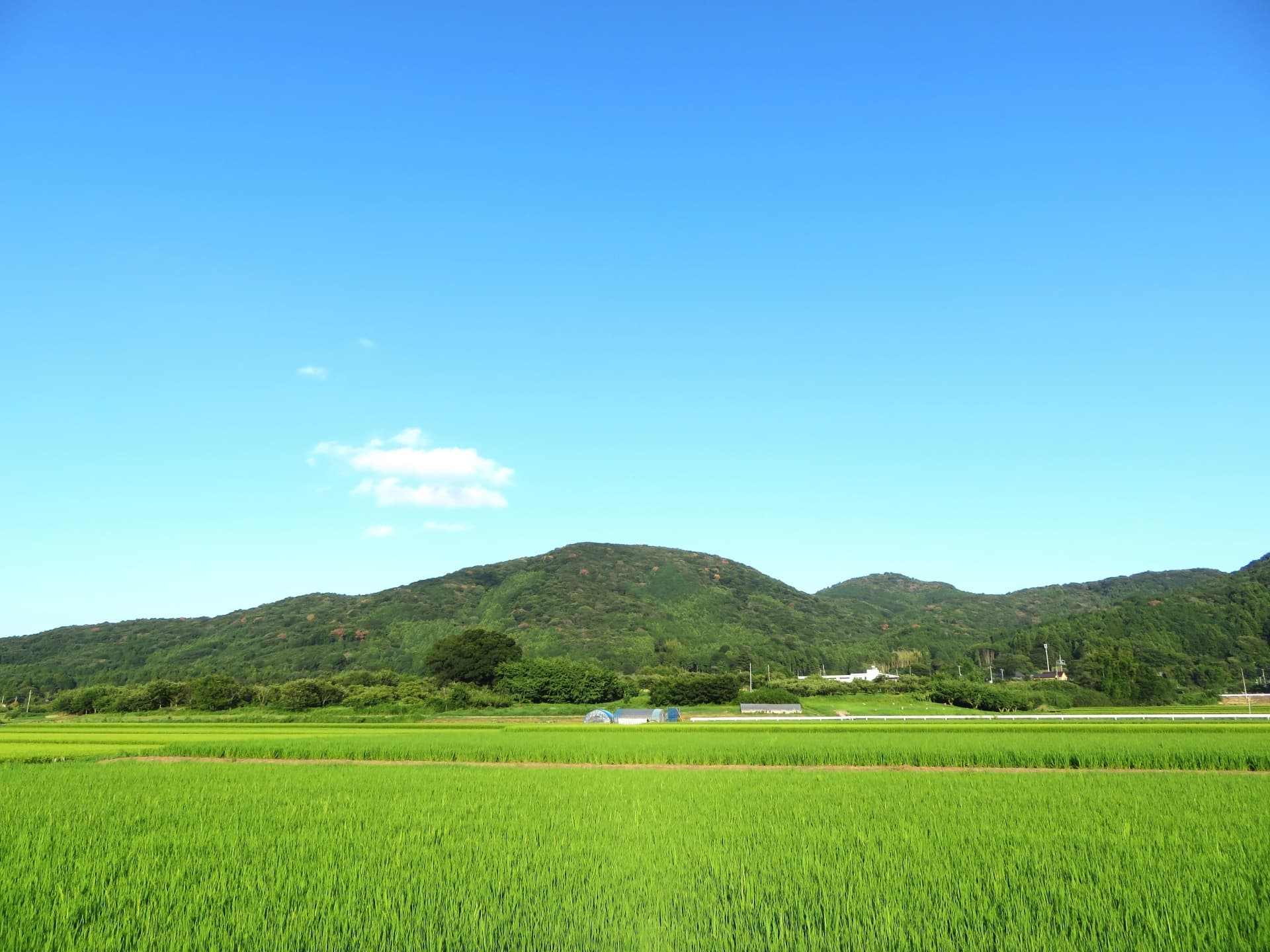 ＪＡグループ茨城の挑戦　持続可能な農業と豊かな地域づくりをめざして