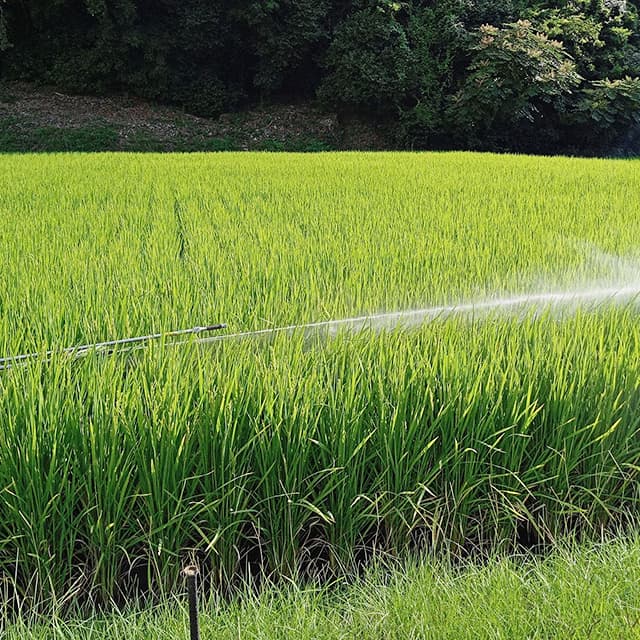 現場で役立つ農薬の基礎知識2019