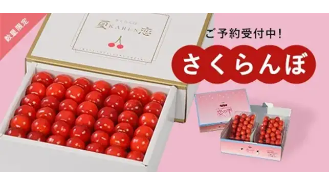 岩手県産さくらんぼ　佐藤錦「夏恋」「恋の雫」期間限定で販売中　ＪＡタウン
