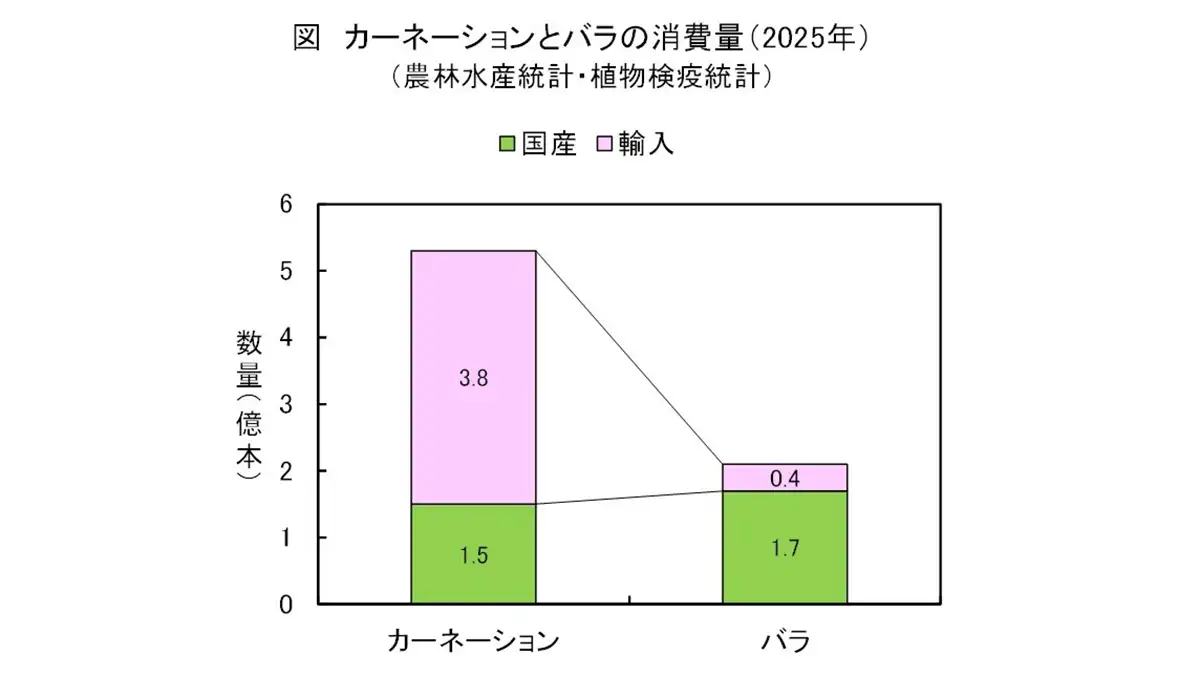 需要はあるが供給主導権を海外に奪われた母の日の定番カーネーション【花づくりの現場から　宇田明】第84回