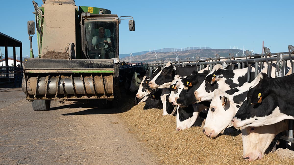 EU乾燥脱水飼料を活用した新たな取り組みにおける飼料ソリューションの探求