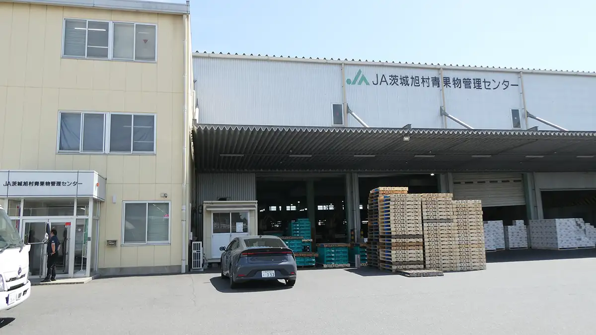 【ＪＡグループ茨城の挑戦】メロンとピーマン、産地を支える選果の仕組み　ＪＡ茨城旭村とＪＡなめがたしおさいの大型選果施設