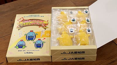 〔291〕いちみんのマドレーヌ　ＪＡ愛知西（愛知県）【一品厳選】