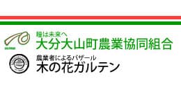 【ＪＡ人事】大分大山町農協（大分県）（6月6日）