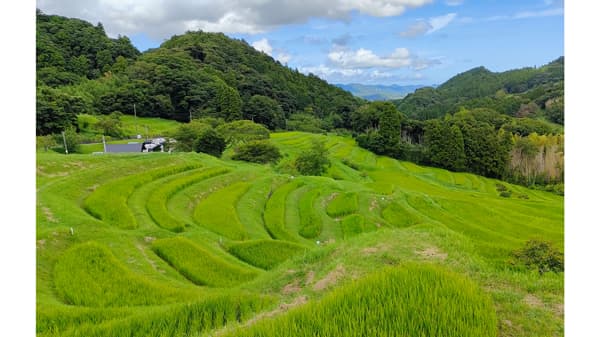 森里川海や農林水産業・食農関連産業のネイチャーポジティブへ　農林中金と連携協定　NACS-J