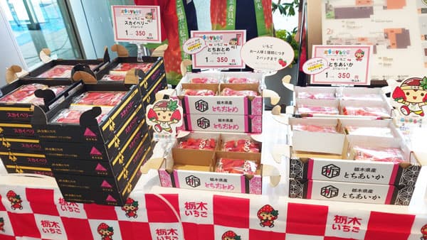 イチゴ新品種「とちあいか」などで"新生栃木"をアピール　ＪＡ共済マルシェ