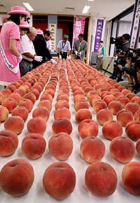 【ＪＡ共済大賞に輝く3ＪＡの取り組み】 地域・次世代との絆を強め 信頼と助け合いの心を育む