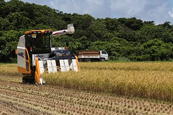 【2017年 ＪＡの米実態調査から】第1回　地域で異なる主食米作付