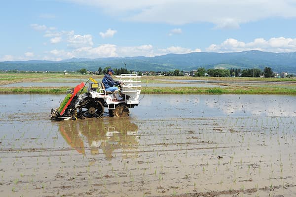 【レポート・30年産に向けて米産地は今】水田フル活用し豊富な米の品揃え　ＪＡえちご上越（新潟県）