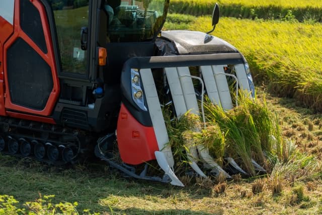 24年産米　１等比率　63.7％　昨年同期比より5ポイント低水準　農水省