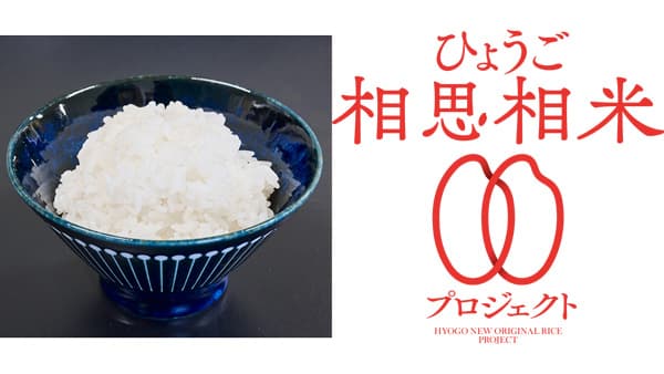 温暖化に負けない兵庫県新しいお米「コ・ノ・ホ・シ」2025年秋に誕生