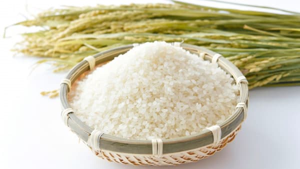 米農家の「時給」 23年も厳しく　農業経営統計調査（確報）から試算　「欧米並みの所得補償」必要性を示唆