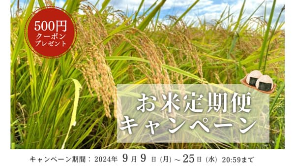 一定価格で安定的に届く「お米定期便キャンペーン」を実施　ポケットマルシェ